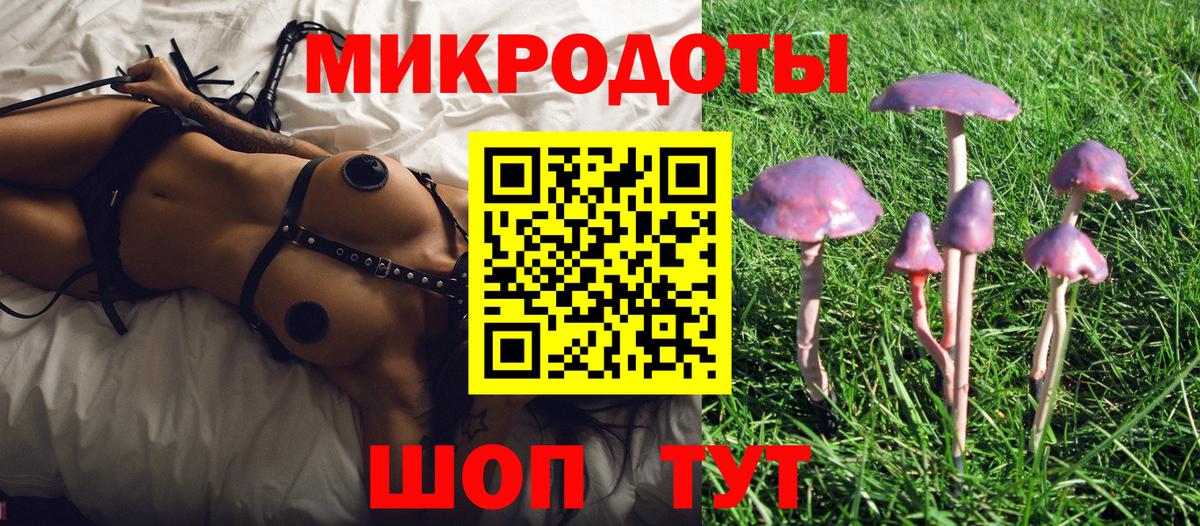 Галлюциногенные грибы Cubensis Лесной