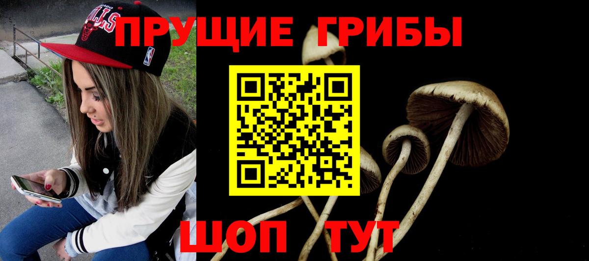 наркотики  Псилоцибиновые грибы прущие грибы  Псилоцибиновые грибы мухоморы  Вход с VPN  Лесной 